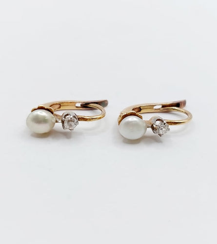 c238e461-53ef-4247-2930-dfda42a2a300