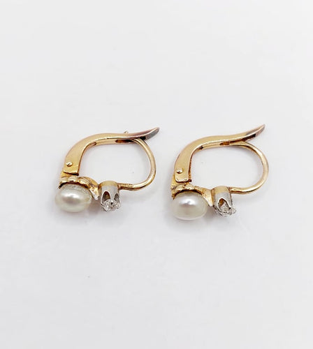 dbd995c7-9959-4f9d-9955-daf7d2a73200