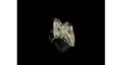 téléchargement (29).png