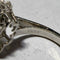 Photoroom_20260324_115502.jpeg