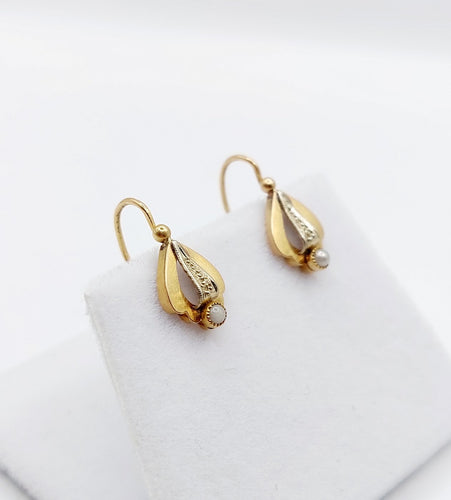 b7e4d7cd-5c79-4e97-285b-a5cb18b06100