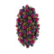 Bague 57 Bague bandeau ovale bombée en or jaune 18 ct avec rubis, saphirs et émeraudes 58 Facettes 34063
