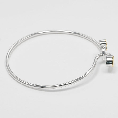 Bracelet Tiffany & Co. Double Heart Lock - Bracelet en argent et or jaune 58 Facettes s3dhie