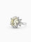 Bague 53 Bague en or blanc 18 carats sertie de diamants naturels 58 Facettes Dj