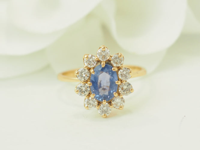 https://cdn.shopify.com/s/files/1/0750/3799/9372/files/P1018297.jpg?v=1777374447