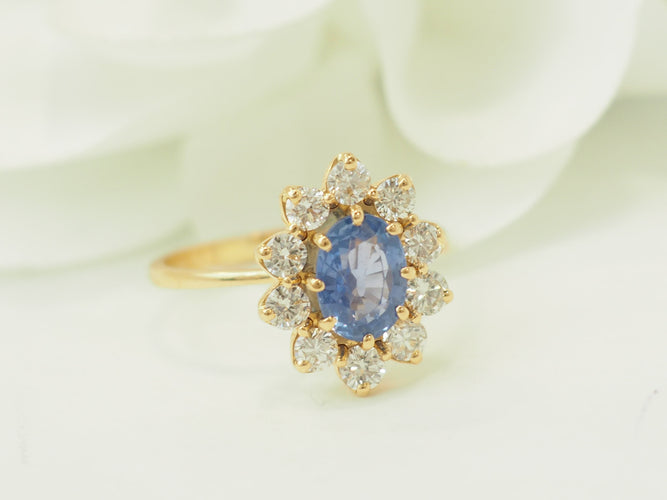 https://cdn.shopify.com/s/files/1/0750/3799/9372/files/P1018303.jpg?v=1777374447