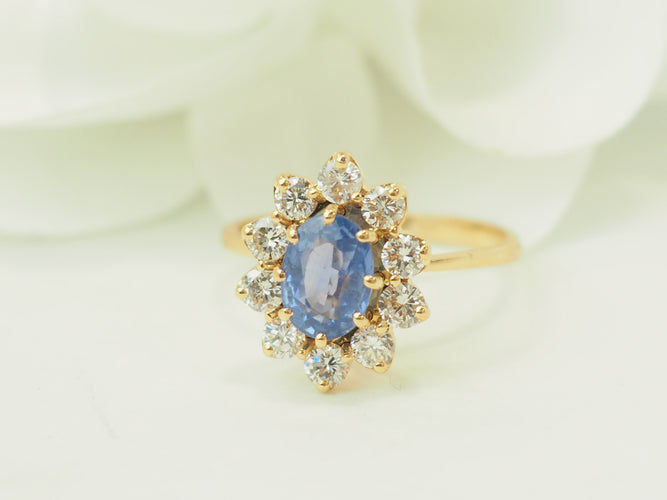 https://cdn.shopify.com/s/files/1/0750/3799/9372/files/P1018305.jpg?v=1777374447
