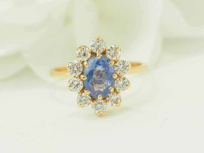 https://cdn.shopify.com/s/files/1/0750/3799/9372/files/P1018312.jpg?v=1777374449