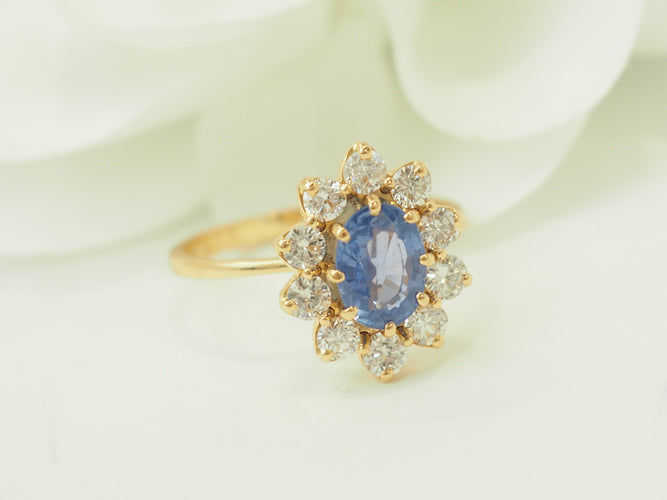 https://cdn.shopify.com/s/files/1/0750/3799/9372/files/P1018302.jpg?v=1777374447