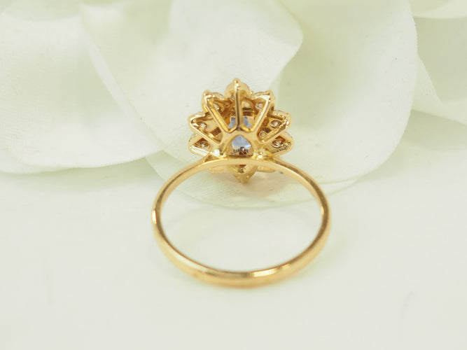 https://cdn.shopify.com/s/files/1/0750/3799/9372/files/P1018309.jpg?v=1777374447