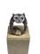 5d533199-df6d-4796-b2f6-5fa1f7652600