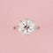 Bague 54 Bague marguerite en platine et diamants 58 Facettes 262