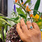 Bague 56 Bague halo en platine, émeraude et diamants 58 Facettes 1ABADEF2AAFD43DBBBC49BB228DF3B6B