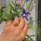 Bague 53 Bague solitaire en corail de 3,22 ct et or jaune 14k 58 Facettes 38D8D27590FC4A1BB9172032481198B3
