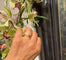 Bague 56 Bague en or jaune 14k, 5 mm 58 Facettes 4A2791BB96354F658FE1CA8A110B0009