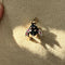 Broche Broche mouche ornée de saphirs et de rubis 58 Facettes 32238