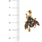 Broche Broche mouche ornée de saphirs et de rubis 58 Facettes 32238