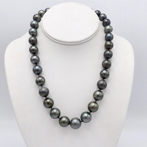 https://cdn.shopify.com/s/files/1/0075/4188/2943/products/100_1853.jpeg?v=1580615692
