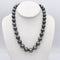 https://cdn.shopify.com/s/files/1/0075/4188/2943/products/100_1853.jpeg?v=1580615692