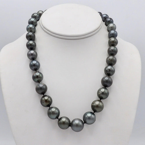 https://cdn.shopify.com/s/files/1/0075/4188/2943/products/100_1854.jpeg?v=1580616059