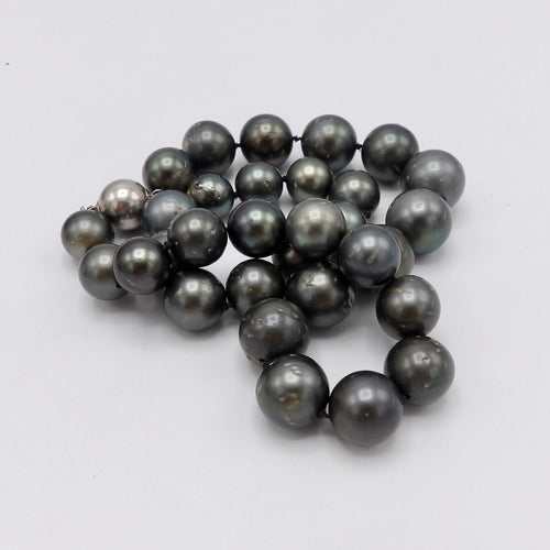 https://cdn.shopify.com/s/files/1/0075/4188/2943/products/100_1846.jpeg?v=1580616236