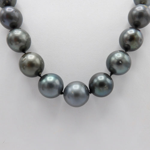 https://cdn.shopify.com/s/files/1/0075/4188/2943/products/100_1849.jpeg?v=1580615817