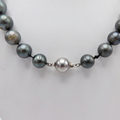 https://cdn.shopify.com/s/files/1/0075/4188/2943/products/100_1850.jpeg?v=1580616591