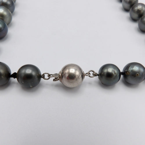 https://cdn.shopify.com/s/files/1/0075/4188/2943/products/100_1847.jpeg?v=1580615579