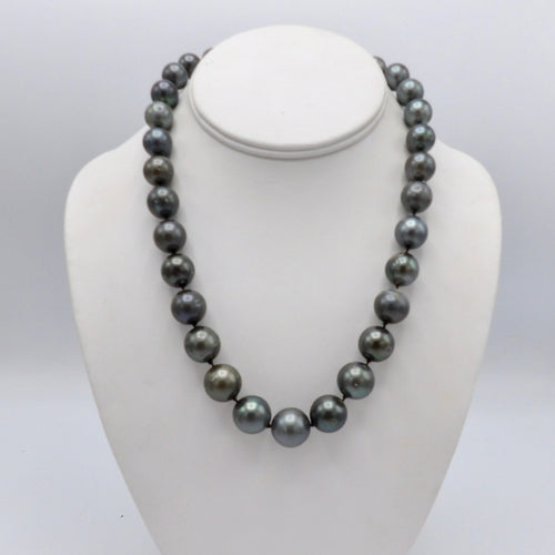 https://cdn.shopify.com/s/files/1/0075/4188/2943/products/100_1848.jpeg?v=1580617176