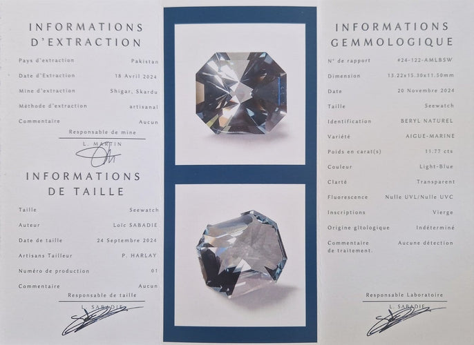 Aigue-marine du Pakistan – 11,77 carats, Taille Seewatch 58 Facettes #24-122-AMLBSW