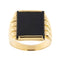 https://api-ledial.emberware.it/app/uploads/2024/03/21287-anello-oro-onice-uomo-50.jpg