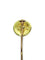 Révillon - Épingle à cravate en or rose et jaune 58 Facettes id: 1767007