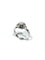 Bague 54 Solitaire - Bague en or blanc et diamant 58 Facettes id: 1767009