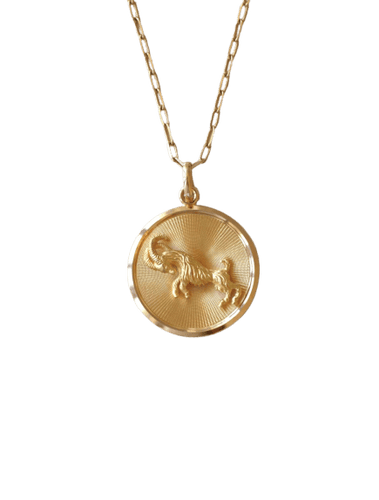 Pendentif Pendentif médaille Capricorne en or jaune 58 Facettes