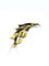 Broche Broche en or jaune 18 carats 58 Facettes id: 1767560