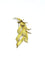 Broche Broche en or jaune 18 carats 58 Facettes id: 1767560
