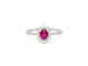 https://cdn.shopify.com/s/files/1/0750/3799/9372/files/cf6c8a42-b2fa-45d3-8a4f-9e213ed21846.png?v=1791644059