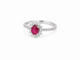 https://cdn.shopify.com/s/files/1/0750/3799/9372/files/1ca19164-311b-49cd-ab09-021a67b614ef.png?v=1791643978