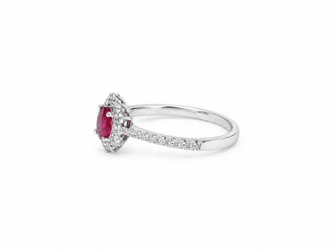 https://cdn.shopify.com/s/files/1/0750/3799/9372/files/eb805b25-9dbd-4446-8ed5-24b2b9bb99b4.png?v=1791644060