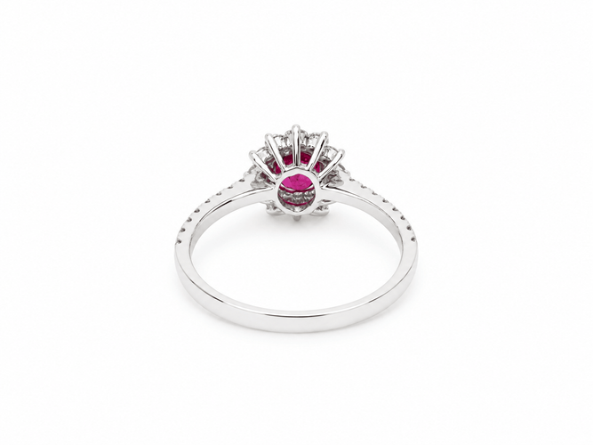 https://cdn.shopify.com/s/files/1/0750/3799/9372/files/4873a656-b533-4cda-9a75-f484fdc616af.png?v=1791644059