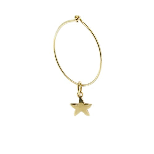 https://api-ledial.emberware.it/app/uploads/2026/05/41065-orecchini-cerchio-oro-Dodo-tartaruga-stella_1.jpg