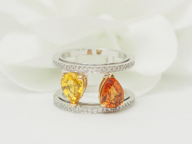 https://cdn.shopify.com/s/files/1/0750/3799/9372/files/P1019390.jpg?v=1780584103