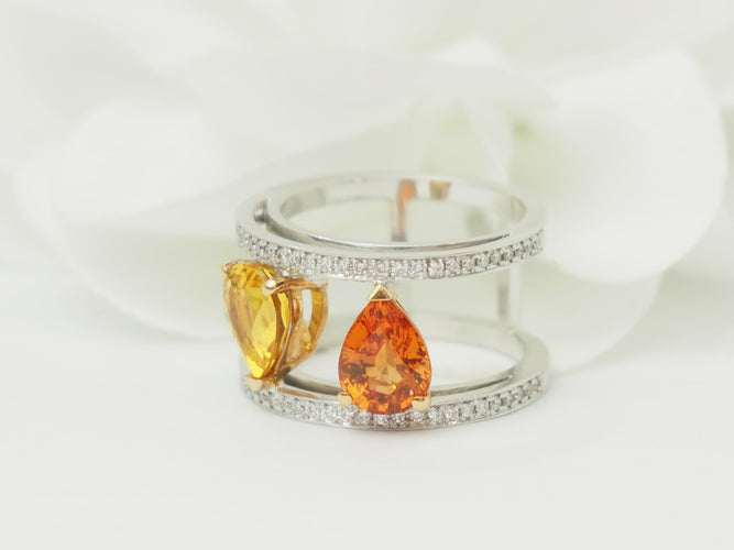 https://cdn.shopify.com/s/files/1/0750/3799/9372/files/P1019395.jpg?v=1780584103