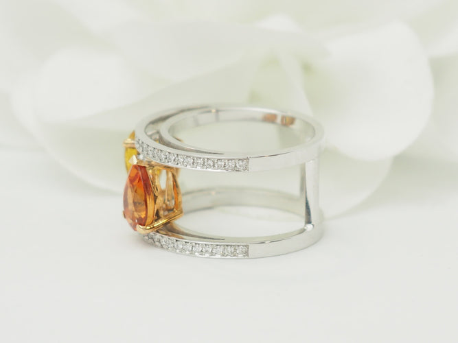https://cdn.shopify.com/s/files/1/0750/3799/9372/files/P1019397.jpg?v=1780584103