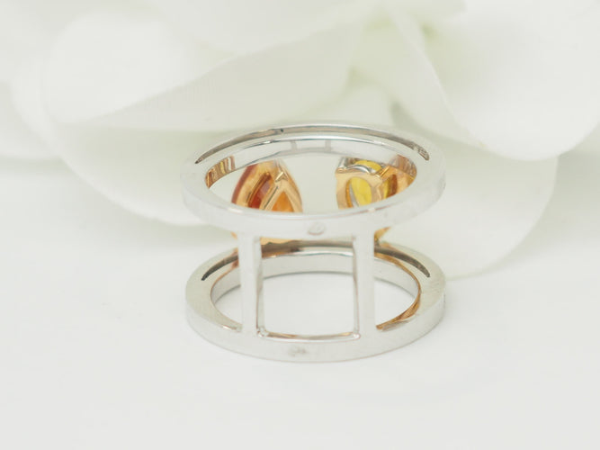 https://cdn.shopify.com/s/files/1/0750/3799/9372/files/P1019398.jpg?v=1780584103