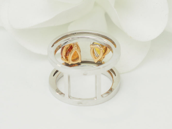 https://cdn.shopify.com/s/files/1/0750/3799/9372/files/P1019399.jpg?v=1780584103