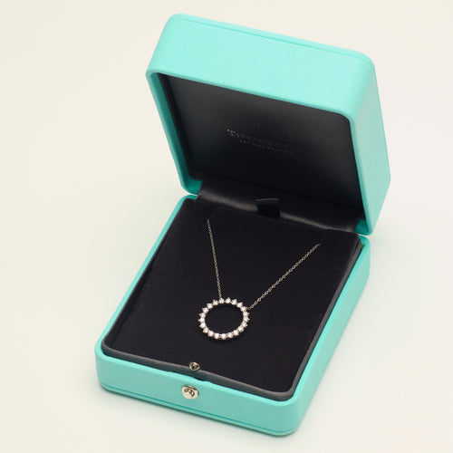 https://cdn.shopify.com/s/files/1/0735/5324/8552/files/tiffany_wg_nckl_circle_dmnds_0026.jpg?v=1780609079