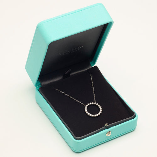 https://cdn.shopify.com/s/files/1/0735/5324/8552/files/tiffany_wg_nckl_circle_dmnds_0025.jpg?v=1780609079