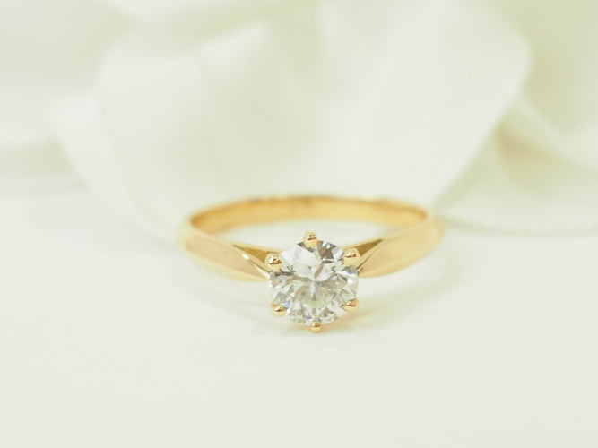 https://cdn.shopify.com/s/files/1/0750/3799/9372/files/P1019465.jpg?v=1780663223