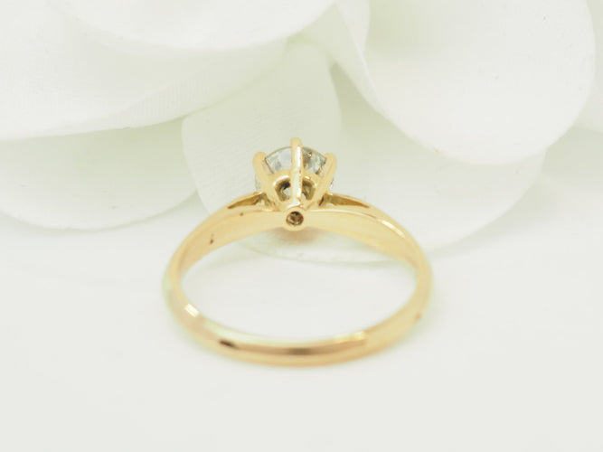 https://cdn.shopify.com/s/files/1/0750/3799/9372/files/P1019423.jpg?v=1780663223